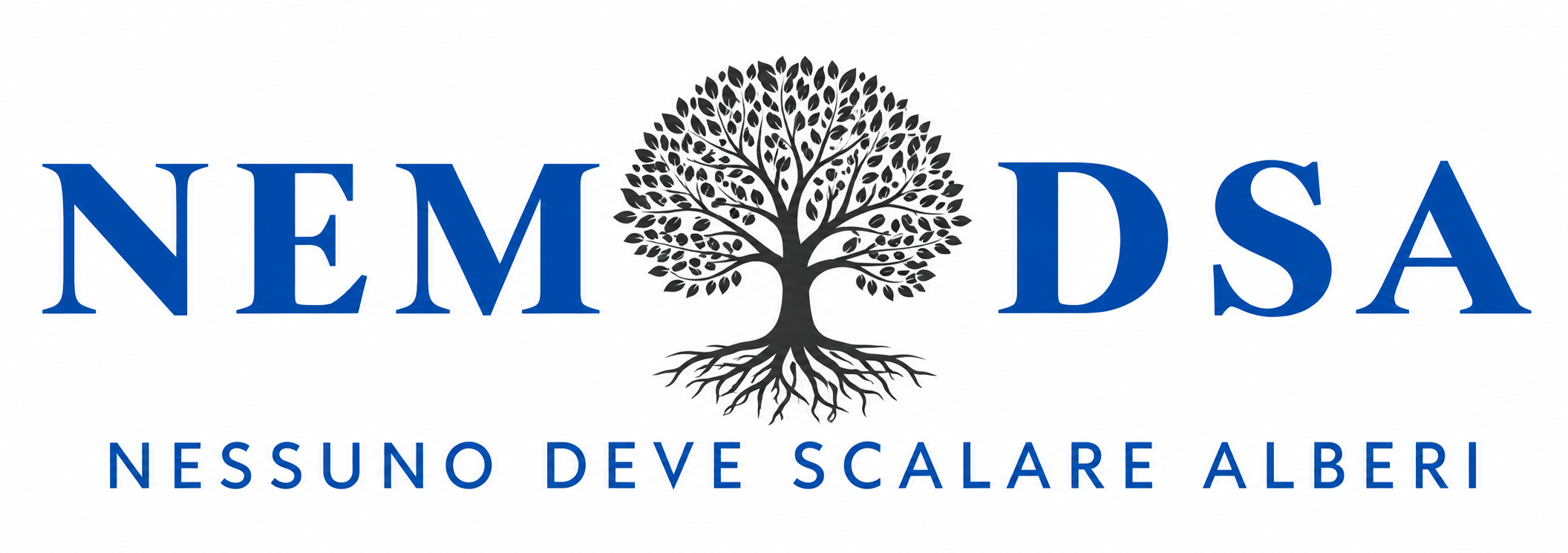 NemoDSA